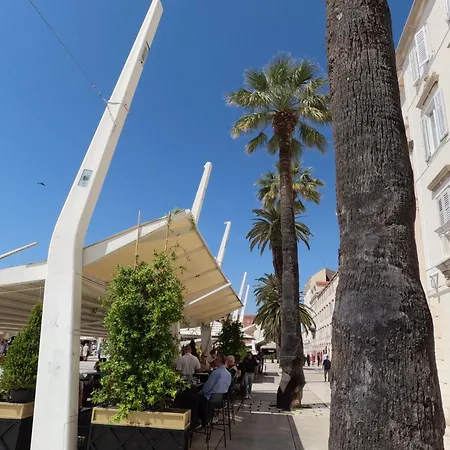 トップ センター 3*